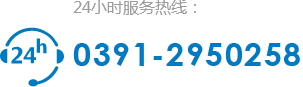 0391-2950258